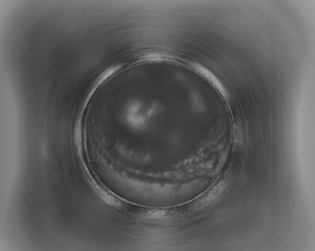 X0000113061098200908281129