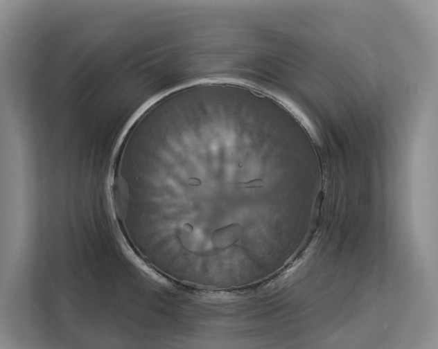 X0000113061100200908281129