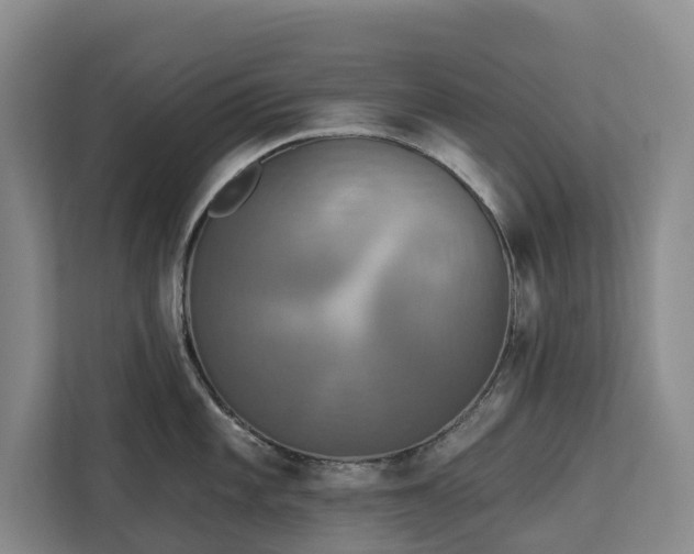 X0000113061101200908281129
