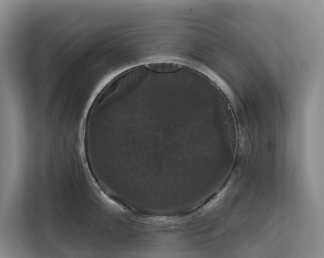 X0000113061102200908281129