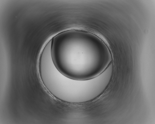 X0000113061104200908281129