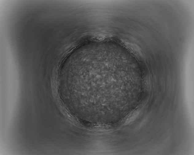 X0000113061105200908281128