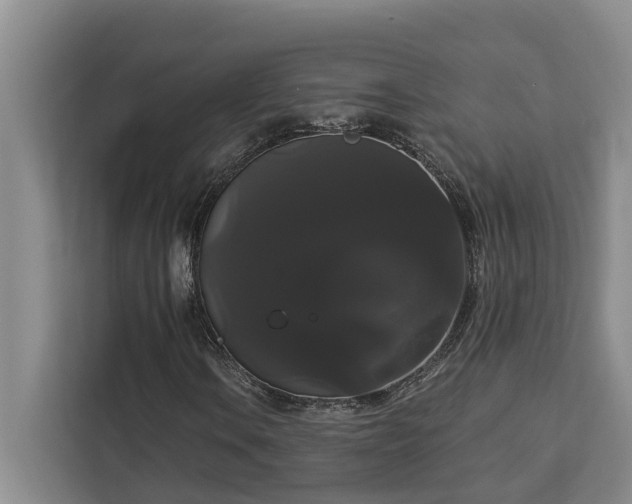X0000113061106200908281128