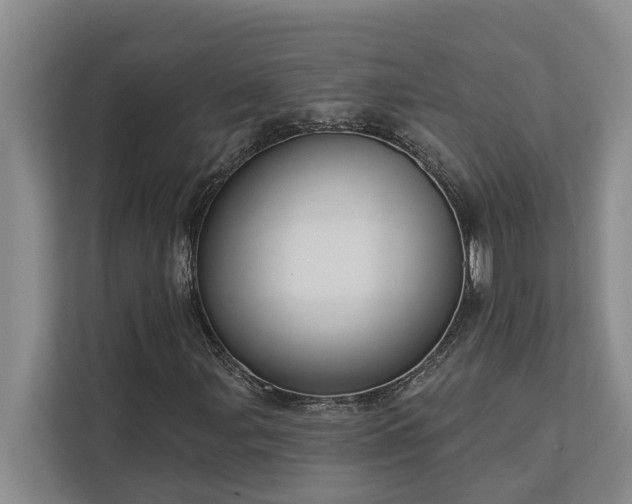 X0000113061107200908281128