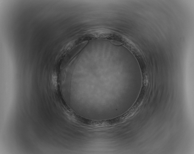 X0000113061108200908281128