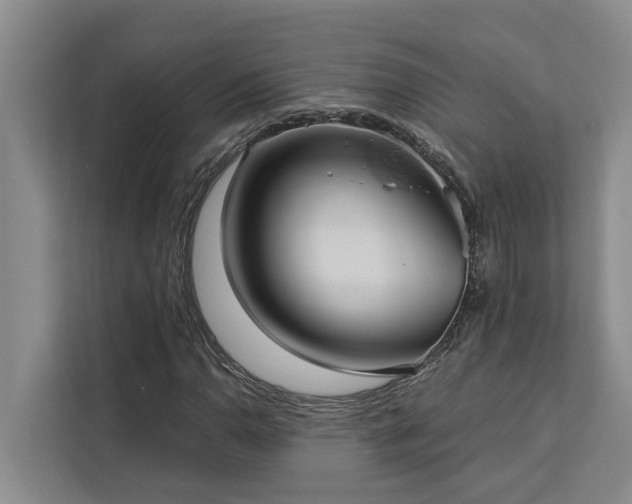 X0000113061110200908281128