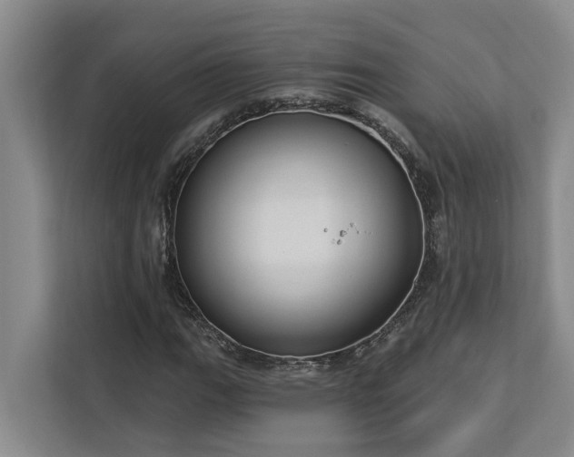 X0000113061111200908281128