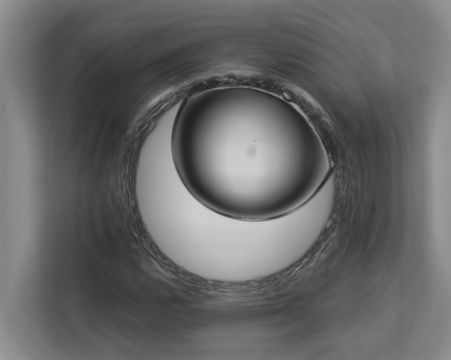 X0000113061112200908281128