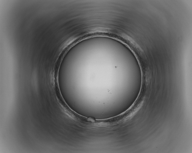 X0000113061113200908281129
