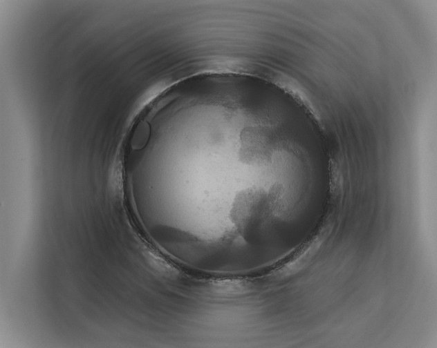 X0000113061114200908281129
