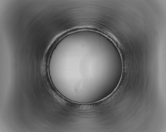 X0000113061116200908281129