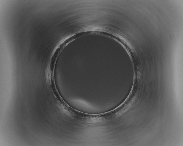 X0000113061117200908281129