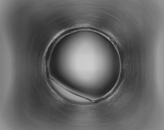 X0000113061118200908281129