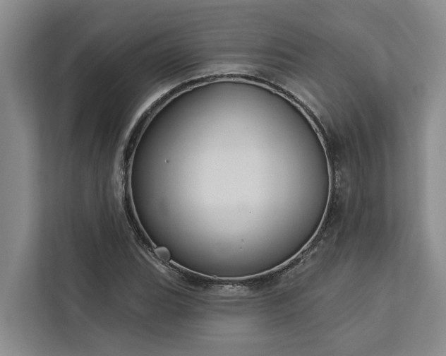 X0000113061119200908281129