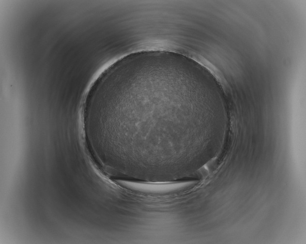 X0000113061120200908281129