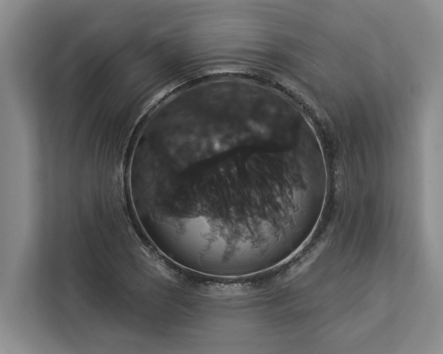 X0000113061121200908281129