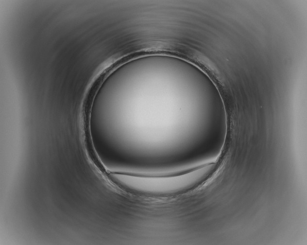 X0000113061122200908281129