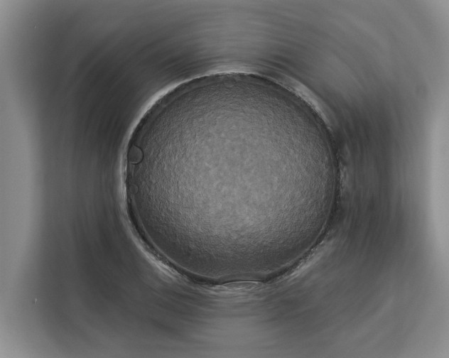 X0000113061124200908281129