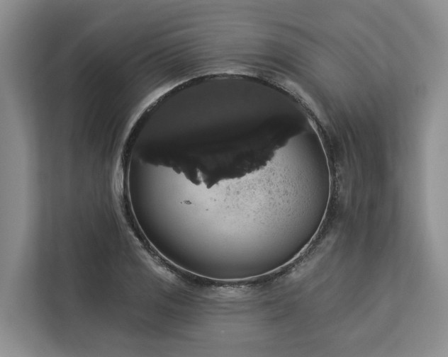 X0000113061125200908281129