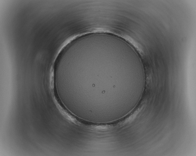 X0000113061126200908281129