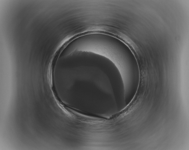 X0000113061127200908281129