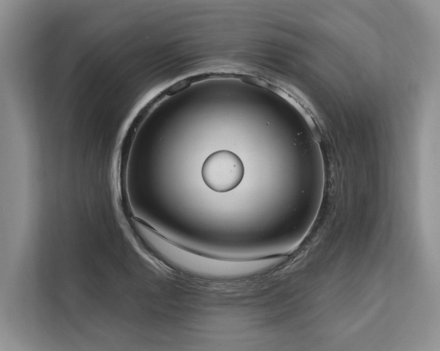 X0000113061128200908281129