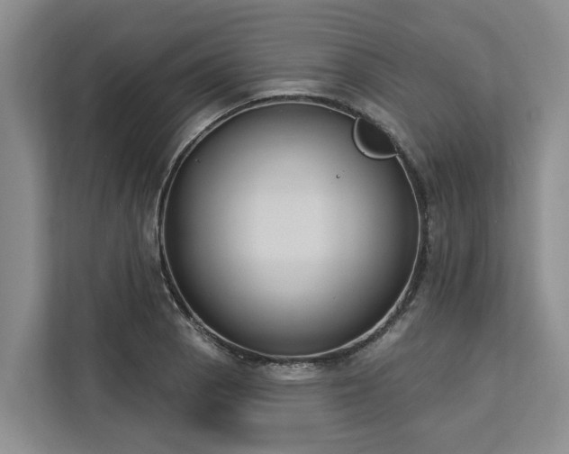X0000113061129200908281129