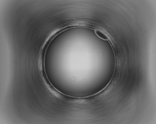 X0000113061131200908281129