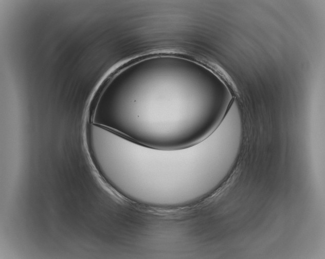 X0000113061132200908281129