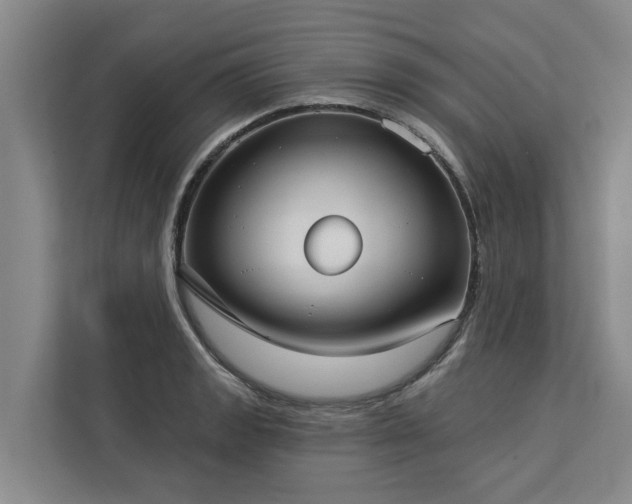 X0000113061133200908281129