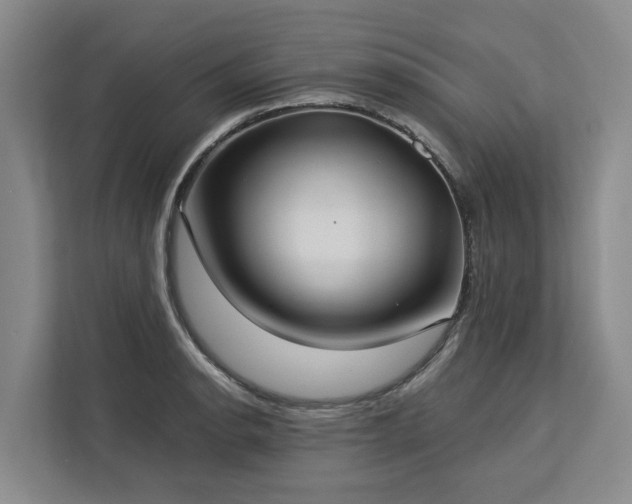 X0000113061134200908281129