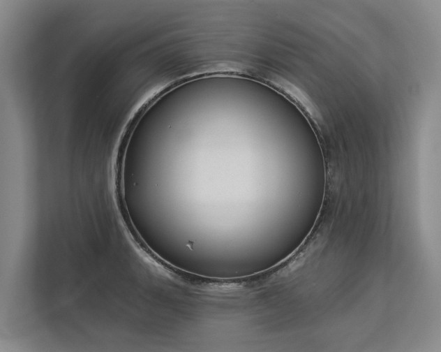 X0000113061135200908281129