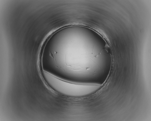 X0000113061136200908281129