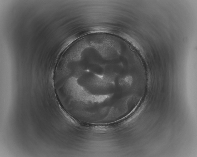 X0000113061137200908281129