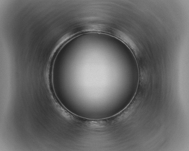 X0000113061138200908281129
