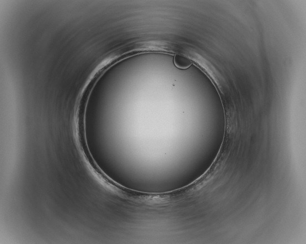 X0000113061139200908281129