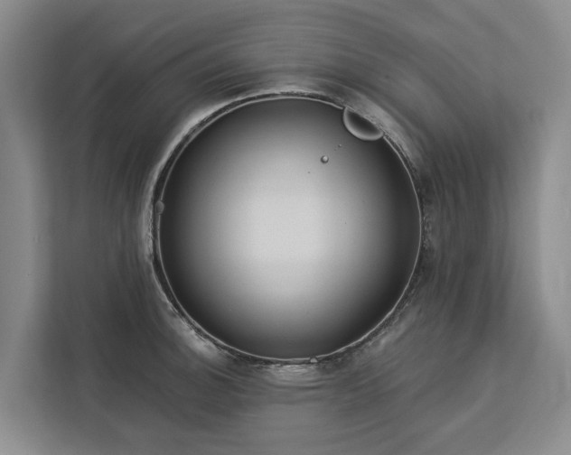 X0000113061140200908281129