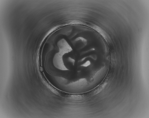 X0000113061142200908281129