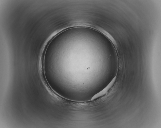 X0000113061144200908281129
