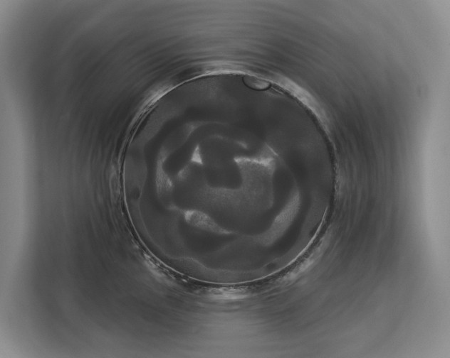X0000113061145200908281129