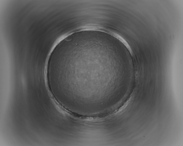X0000113061146200908281129