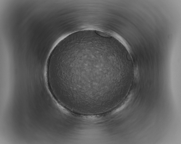 X0000113061149200908281129