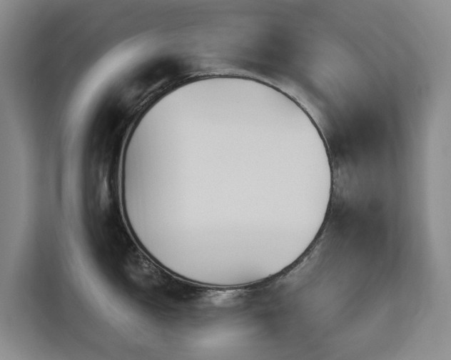 X0000113061150200908281129