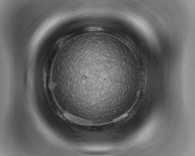 X0000113061151200908281129