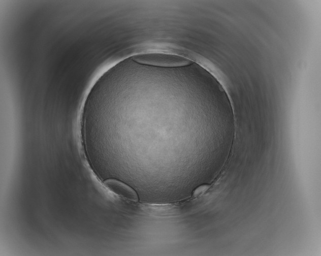 X0000113061152200908281129