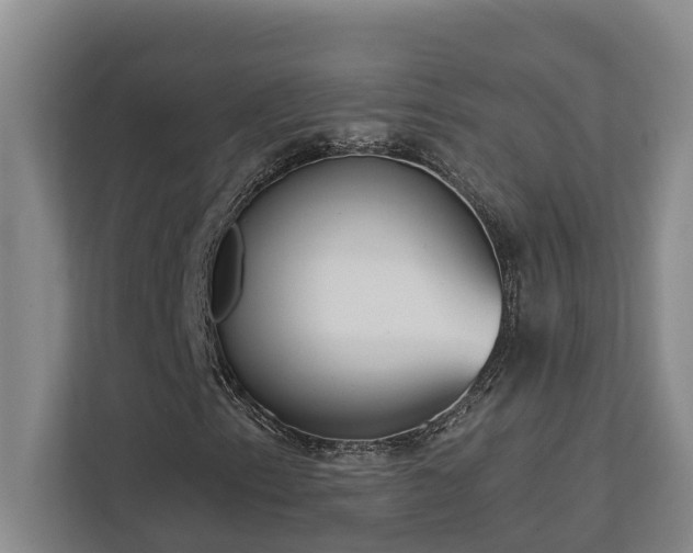 X0000113061153200908281128
