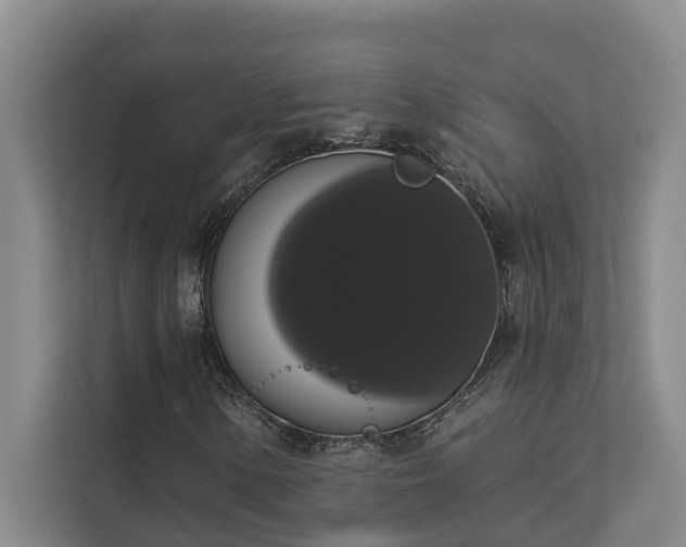 X0000113061154200908281128
