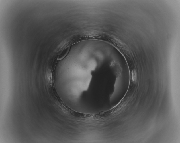 X0000113061155200908281128