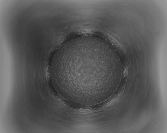 X0000113061156200908281128