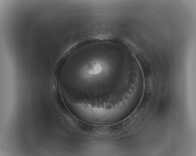 X0000113061158200908281128